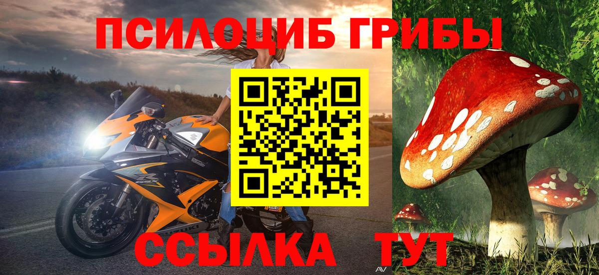Галлюциногенные грибы прущие грибы Бутурлиновка
